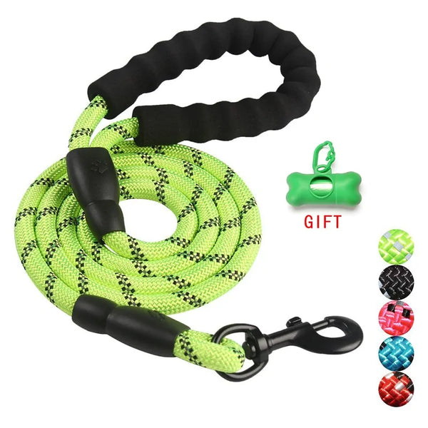 Pet Dog Walking Training Leash