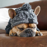 Woolen Pet Beanie Hat