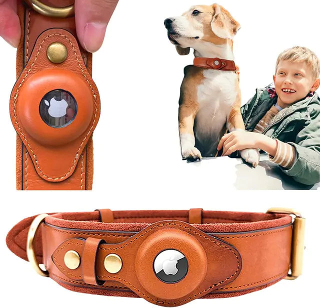 Premium Leather AirTag Dog Collar