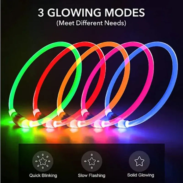 GlowPup LED Safety Collar
